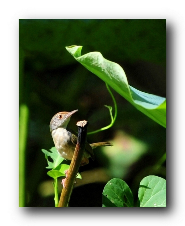 ��Ƭ 5486498921.jpg