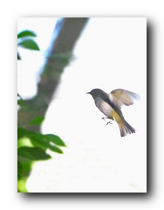 ��Ƭ 1191531630411.jpg