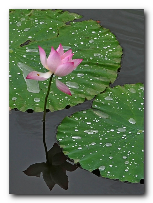 ��Ƭ 11915316691.jpg