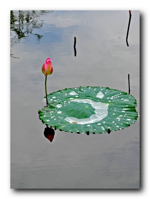 ��Ƭ 5486731.jpg