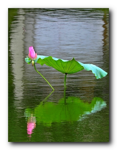 ��Ƭ 11915316461.jpg