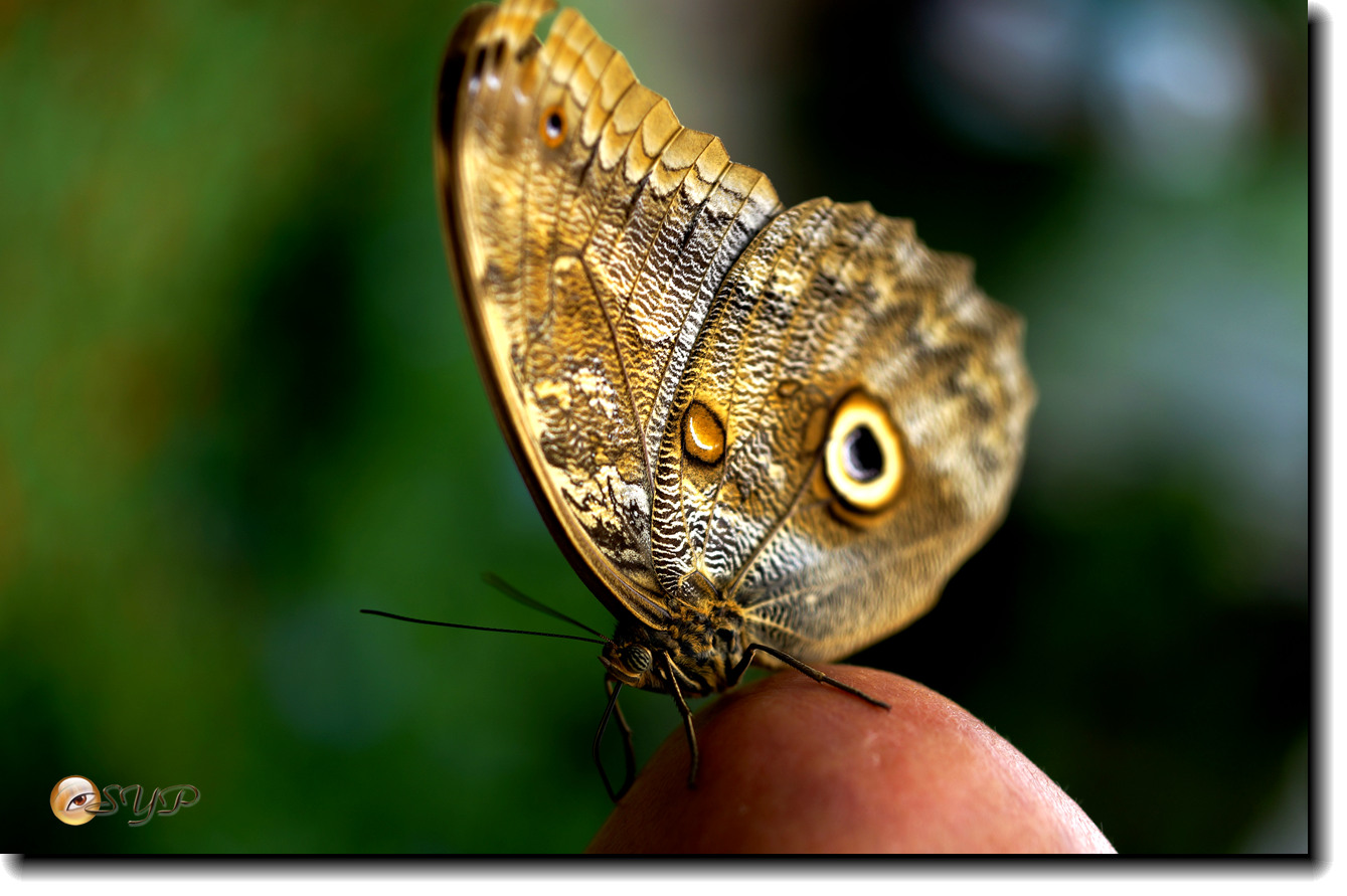 DSC01629_.jpg