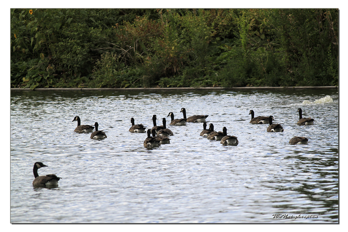 IMG_4328-1 - ����.jpg