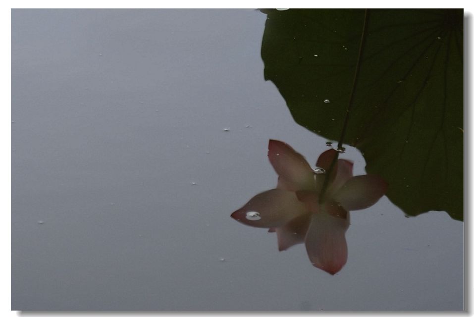 ����2 010.jpg