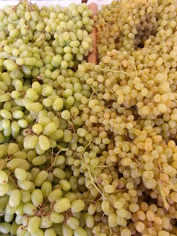 20130811_160938.jpg