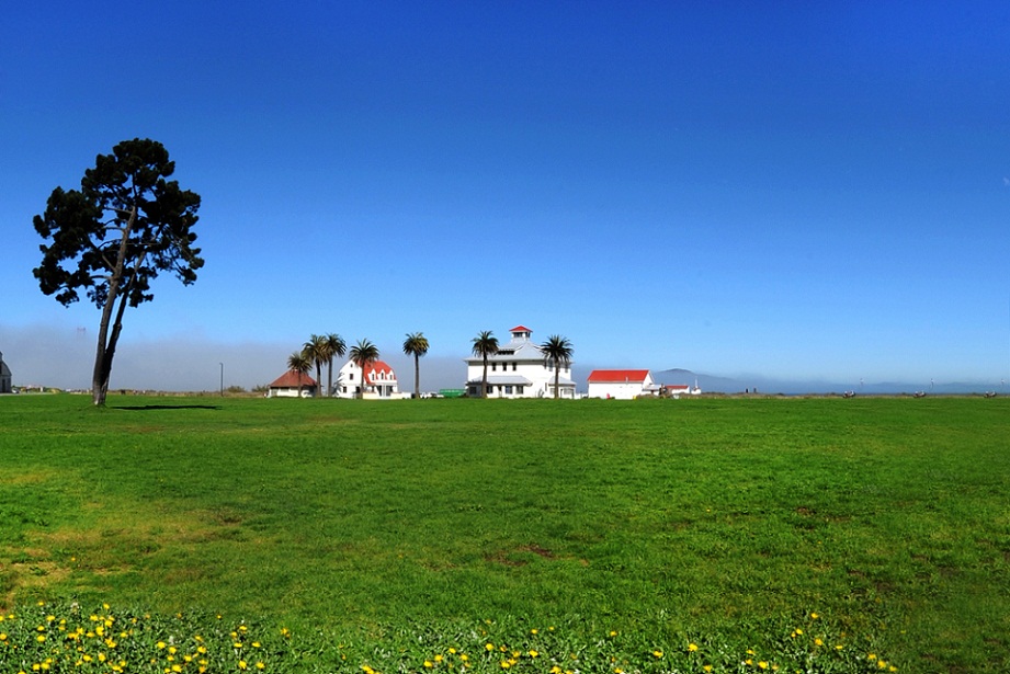 2_1897_dd22816f2a7b5db (1).jpg