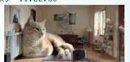 QQͼƬ20130830141116.jpg