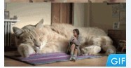 QQͼƬ20130830141101.jpg