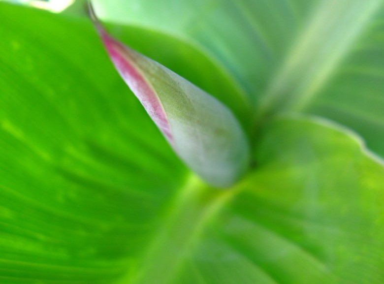 001_conew340.jpg