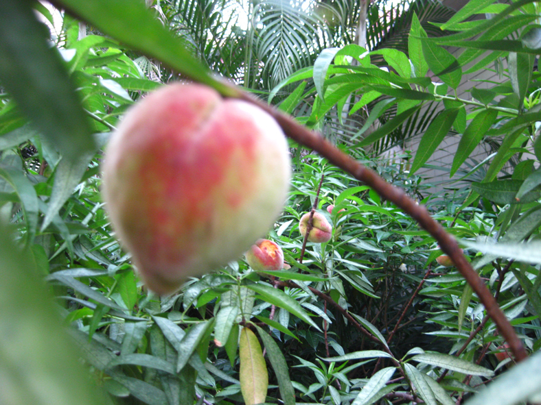 IMG_1943.JPG