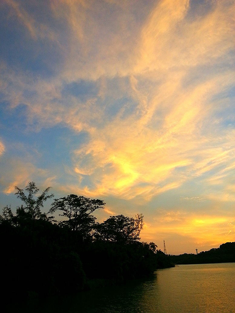 IMG_20130806_083140.jpg