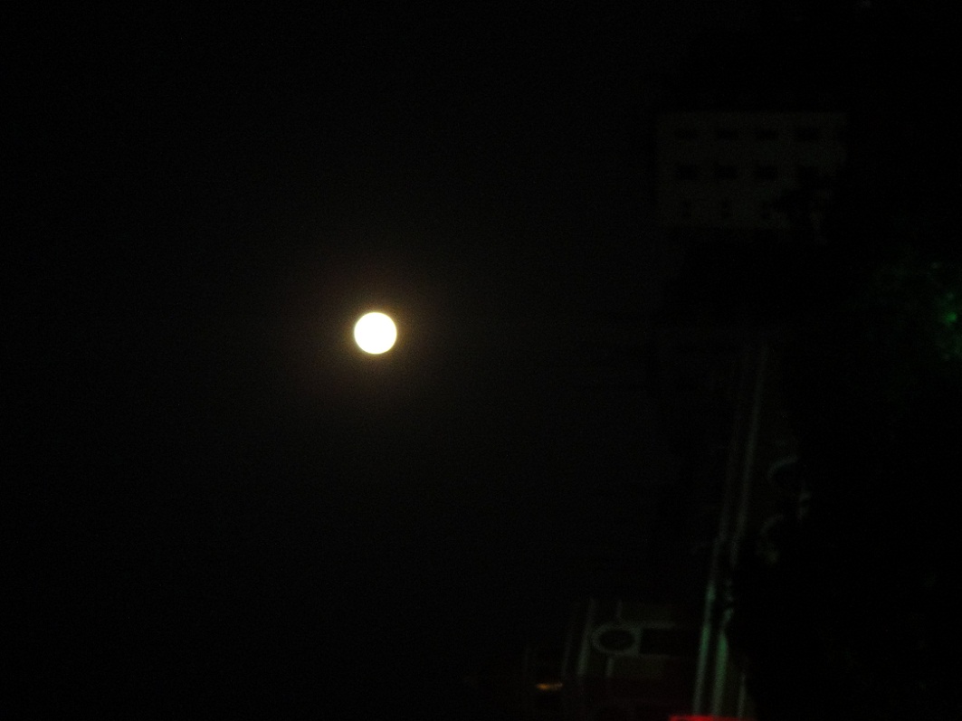 DSC09318.JPG