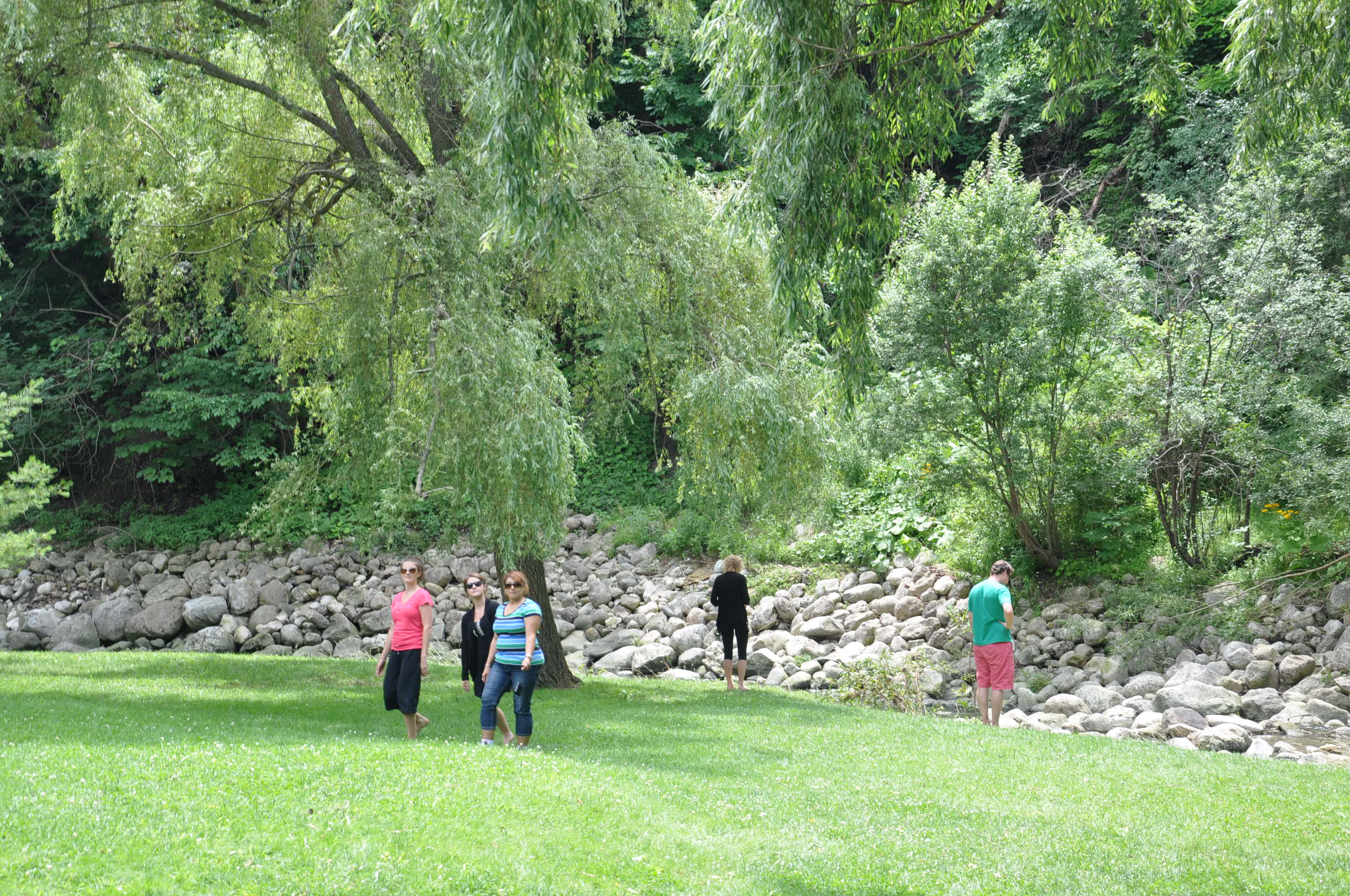 SģTORONTO BOTANICAL GARDEN 403.JPG