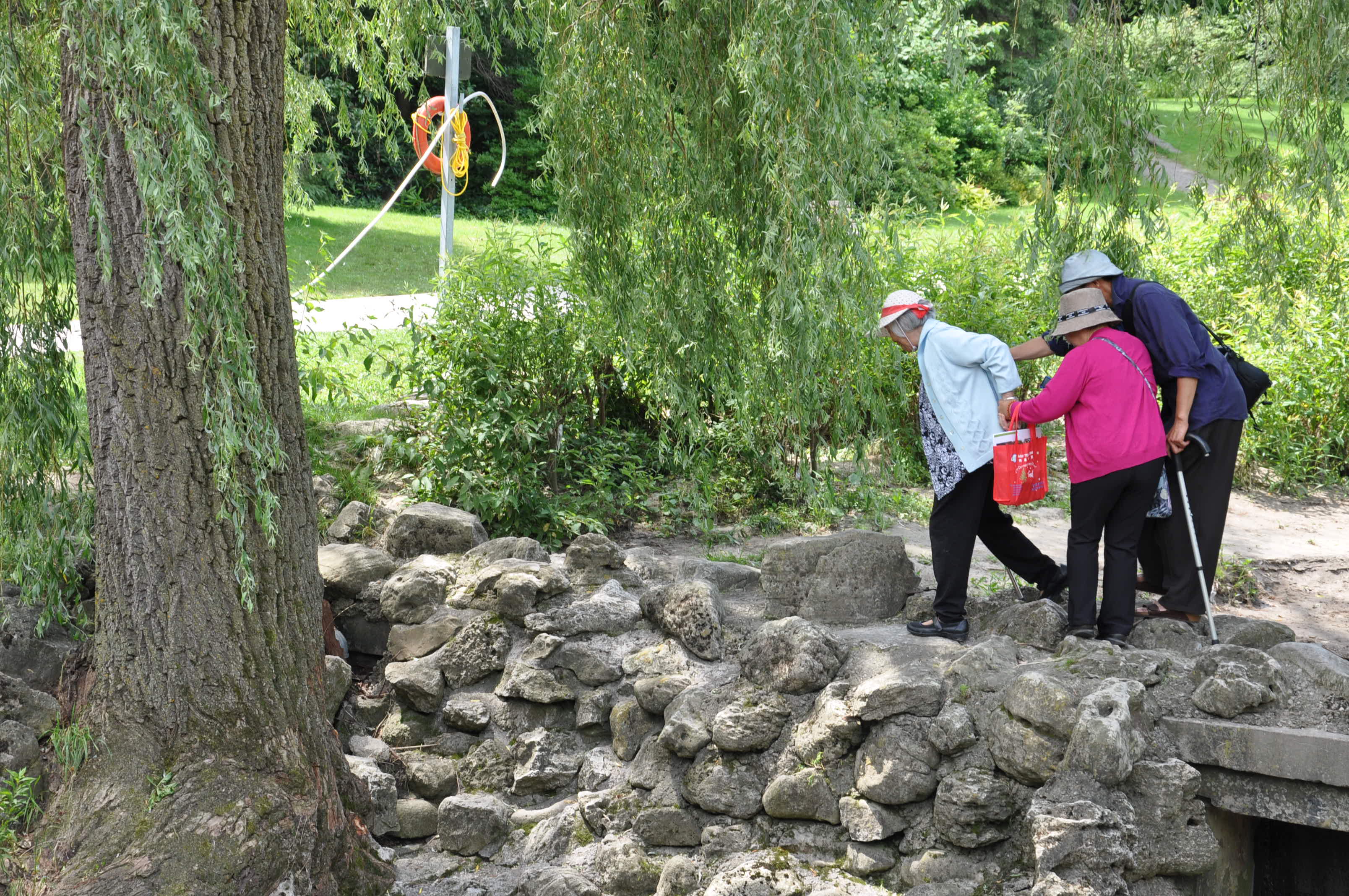 SģTORONTO BOTANICAL GARDEN 382.JPG