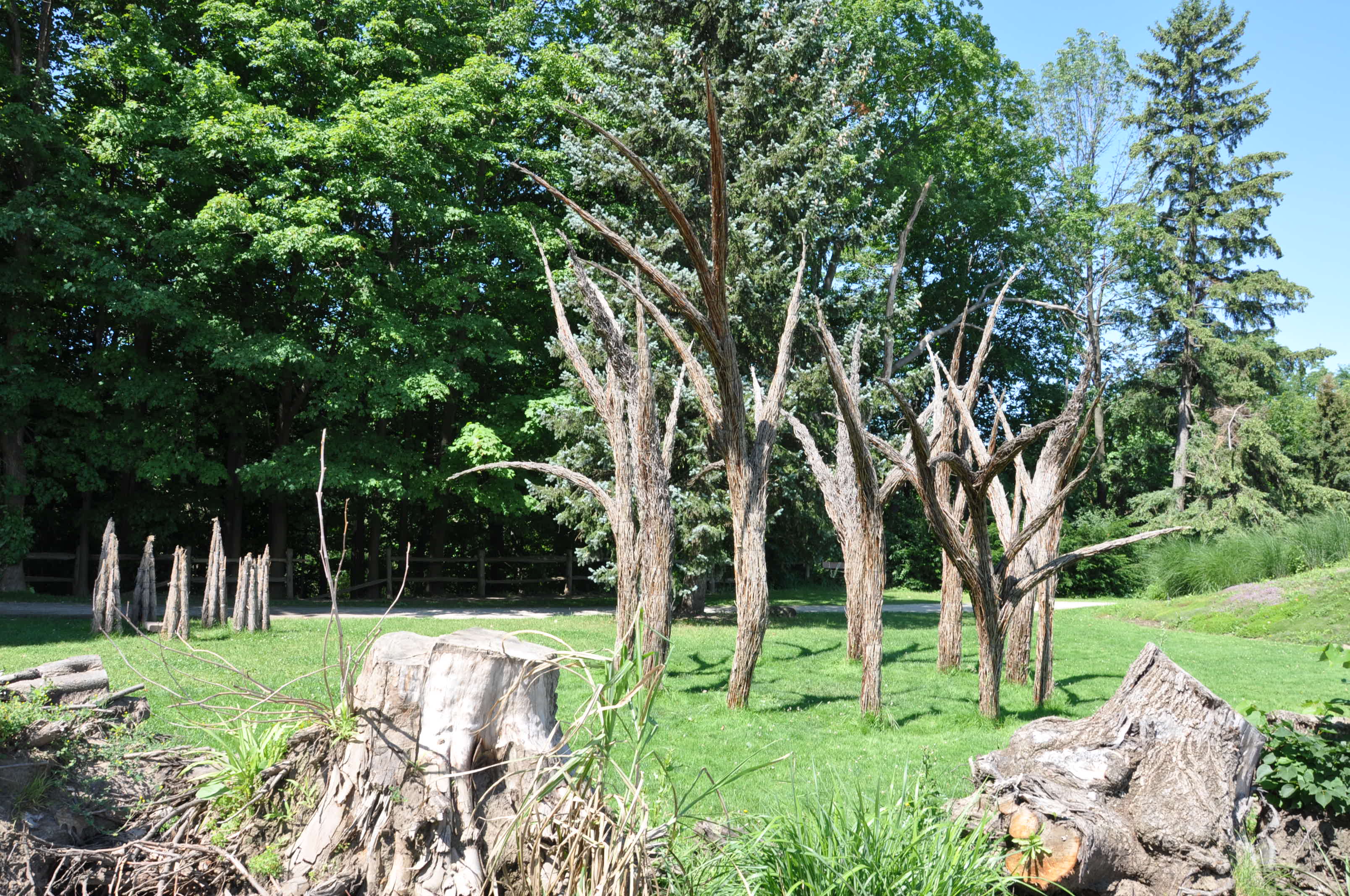 SģTORONTO BOTANICAL GARDEN 031.JPG