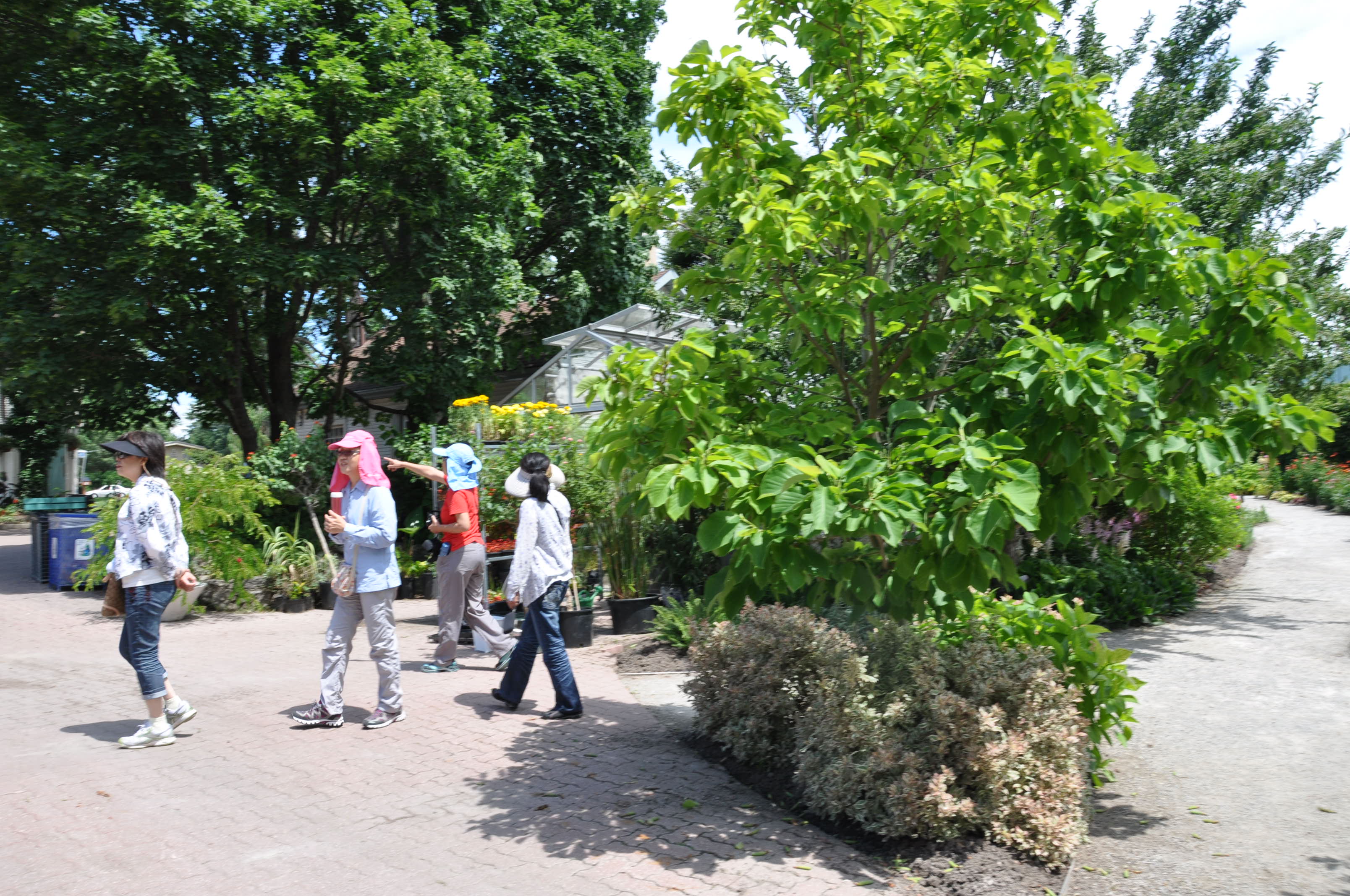 SģTORONTO BOTANICAL GARDEN 255.JPG