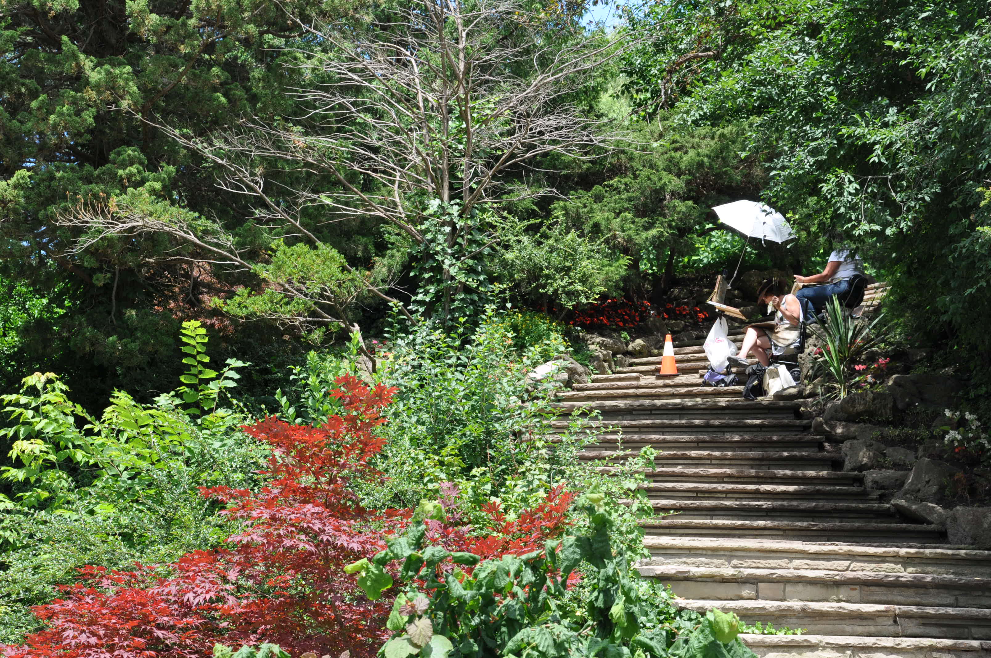 SģTORONTO BOTANICAL GARDEN 323.JPG