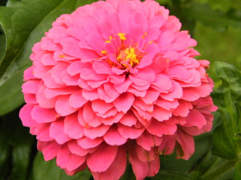 DSCF5604.JPG