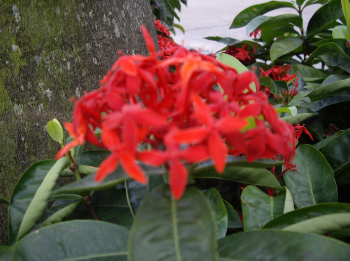 QQͼ20130902213522.png