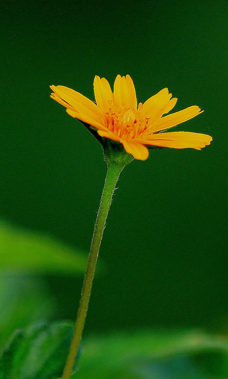 IMG_6406.JPG