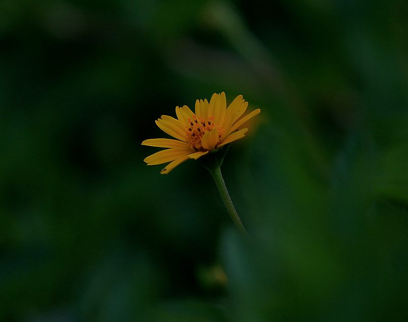 IMG_6448.JPG