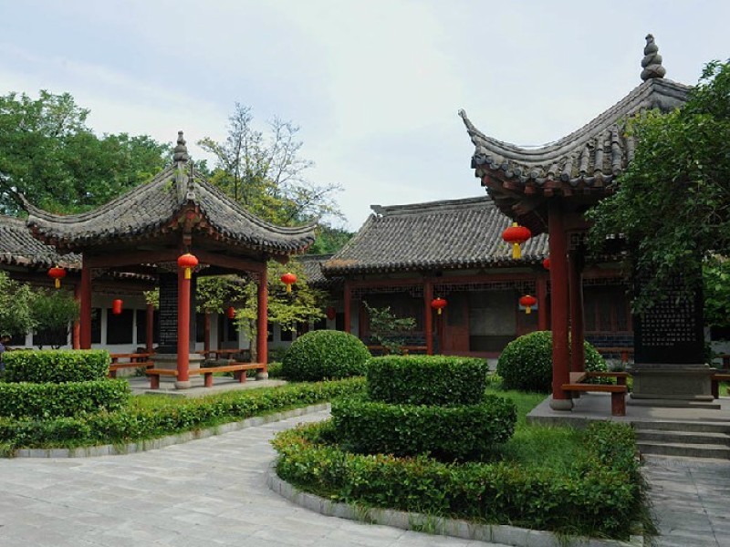 CMG_4323.jpg