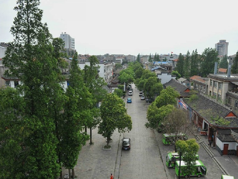 CMG_4315.jpg