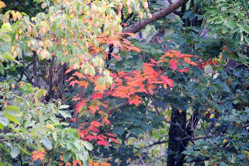 DSC_0024.JPG