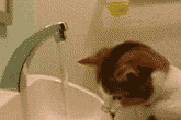 4bc7c6fd424d1951d6887d08[1].gif