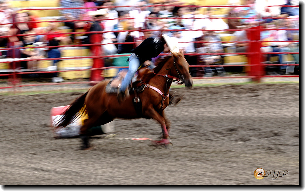 DSC04381_.jpg