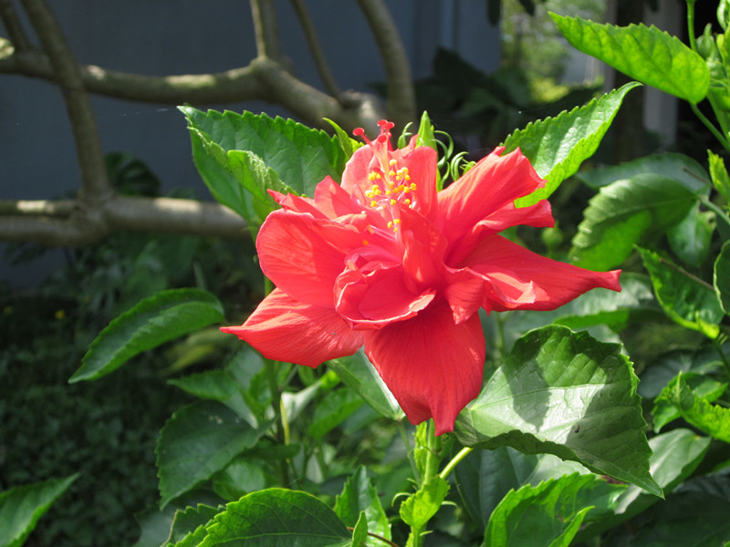 IMG_6097_.jpg