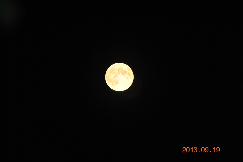 DSC_9770.JPG