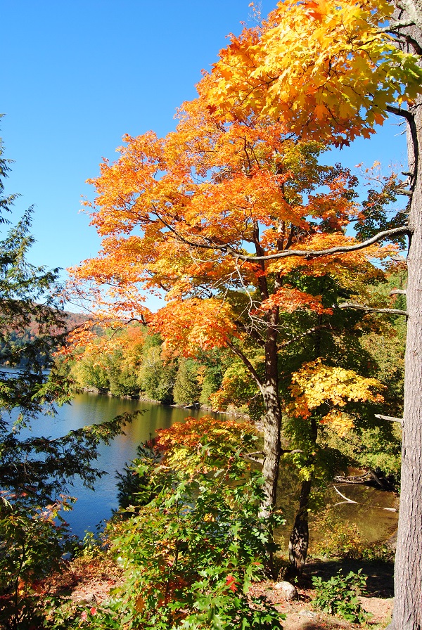 DSC_0073.JPG