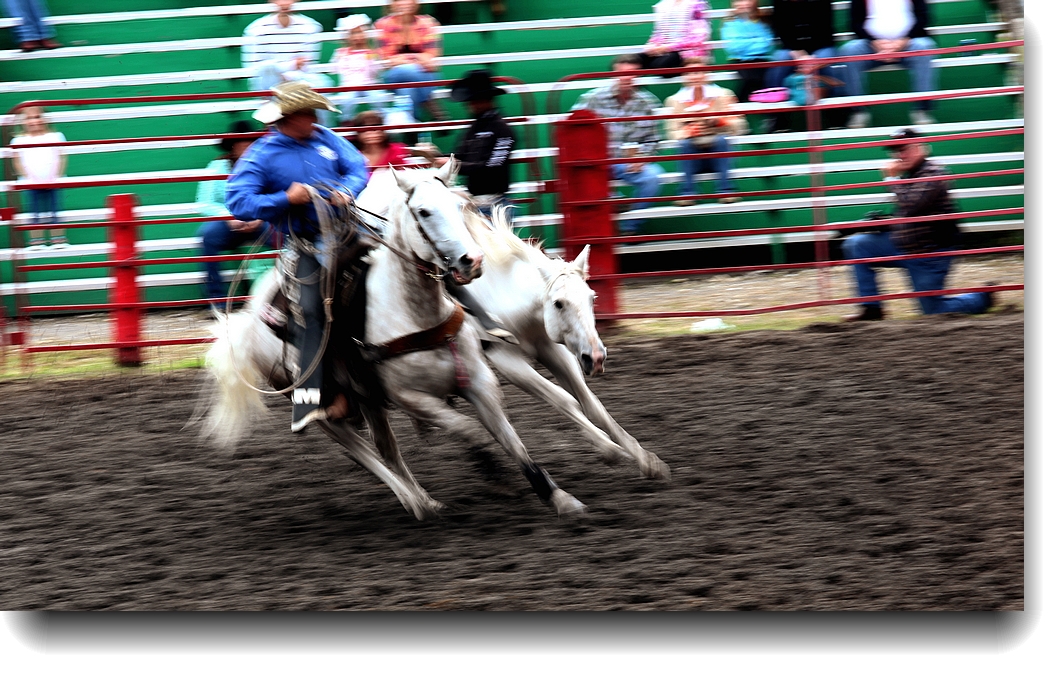 IMG_4963a.jpg