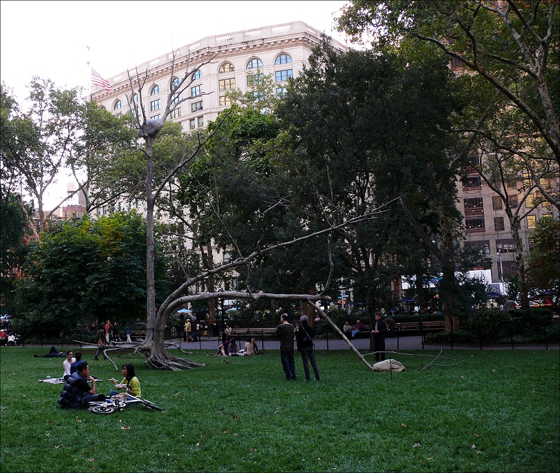 l1060272_conew1.jpg