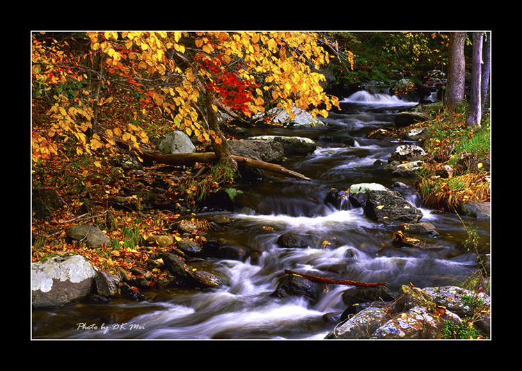 Autumn_Creek.jpg