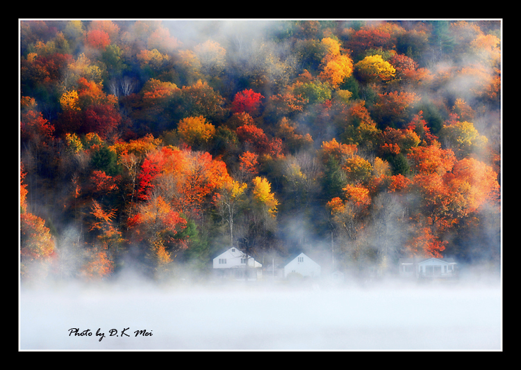 Misty Morning.jpg