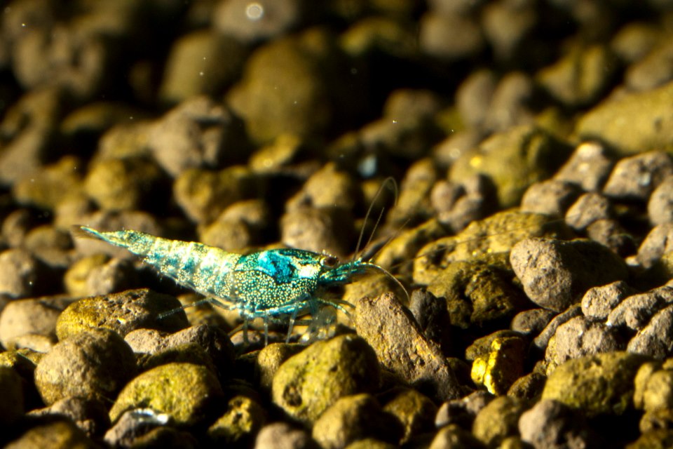 2_30362_aeb7d4cea7b4c9e (1).jpg