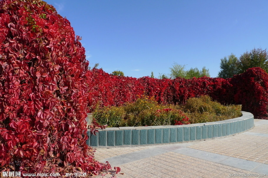 40_48530_4e3f720520201de.jpg