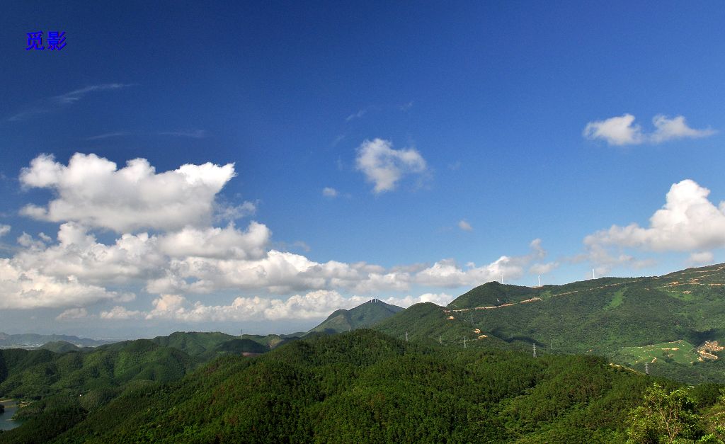 DSC_95969.jpg