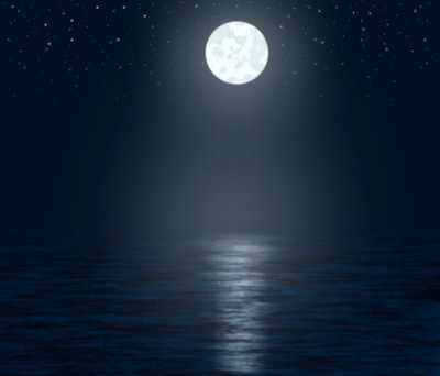 moonlight2.jpg