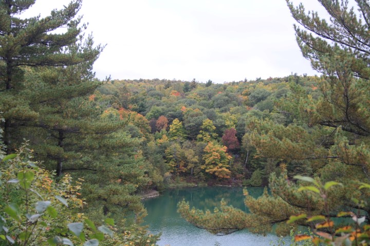 Picture 002 (Small).jpg