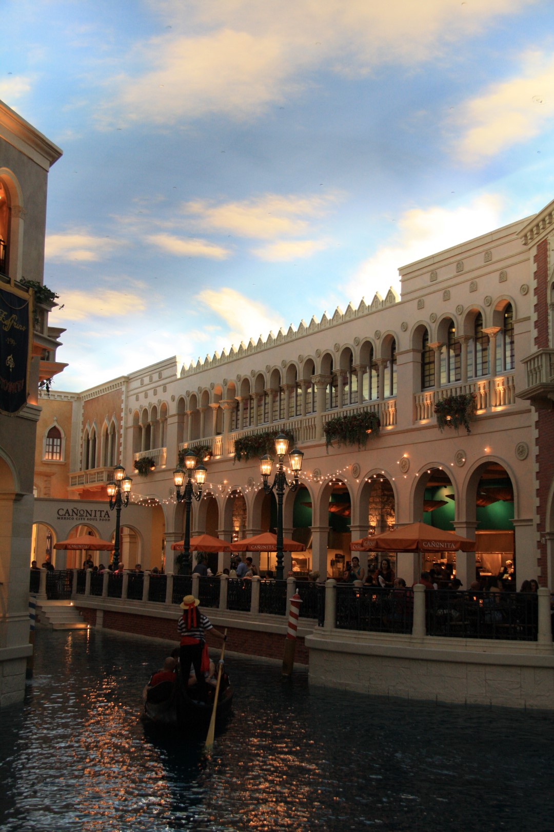 IMG_9998 (Large).JPG