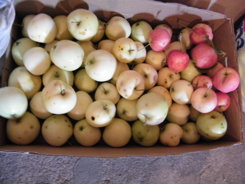 DSCF8690.JPG