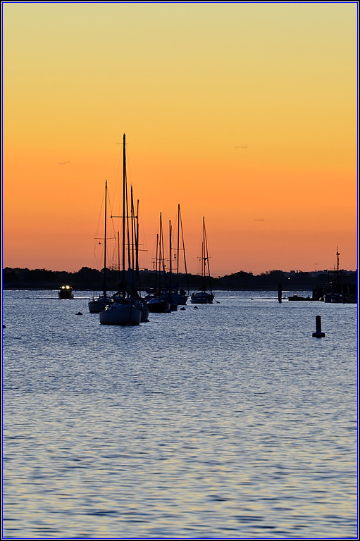 DSC_2145.jpg