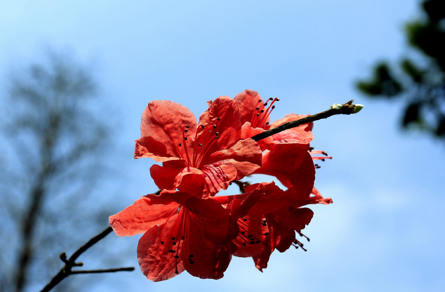 _MG_9373.JPG