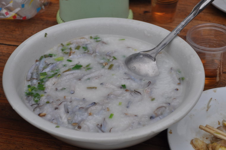 DSC_0017.JPG