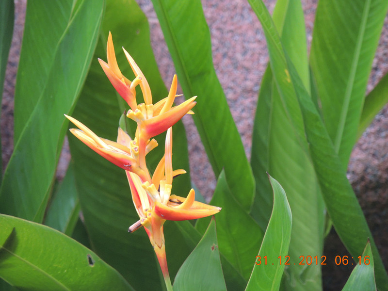2013 vacation 312_.jpg