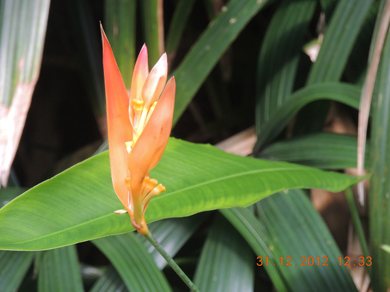 2013 vacation 340_.jpg