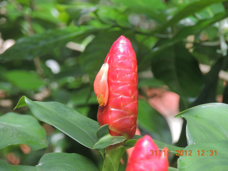 2013 vacation 334_.jpg